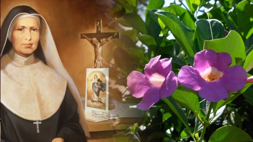 V Anniversario della beatificazione di Madre Antonia